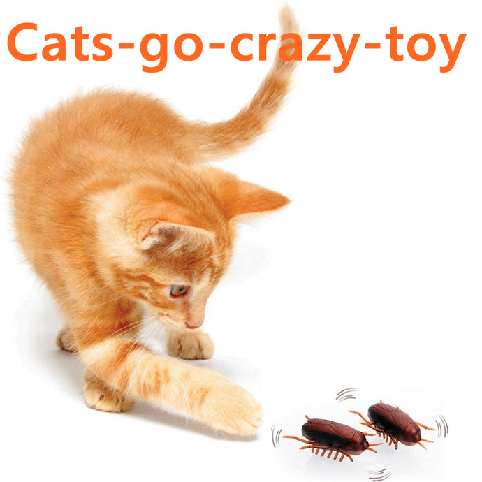[10 Years] Battery-Powered Cockroach & Mouse Toy For Cats, Electronic Cockroach, Fun Cat Toy