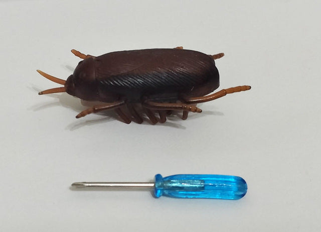 [10 Years] Battery-Powered Cockroach & Mouse Toy For Cats, Electronic Cockroach, Fun Cat Toy
