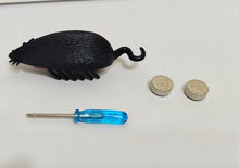 [10 Years] Battery-Powered Cockroach & Mouse Toy For Cats, Electronic Cockroach, Fun Cat Toy